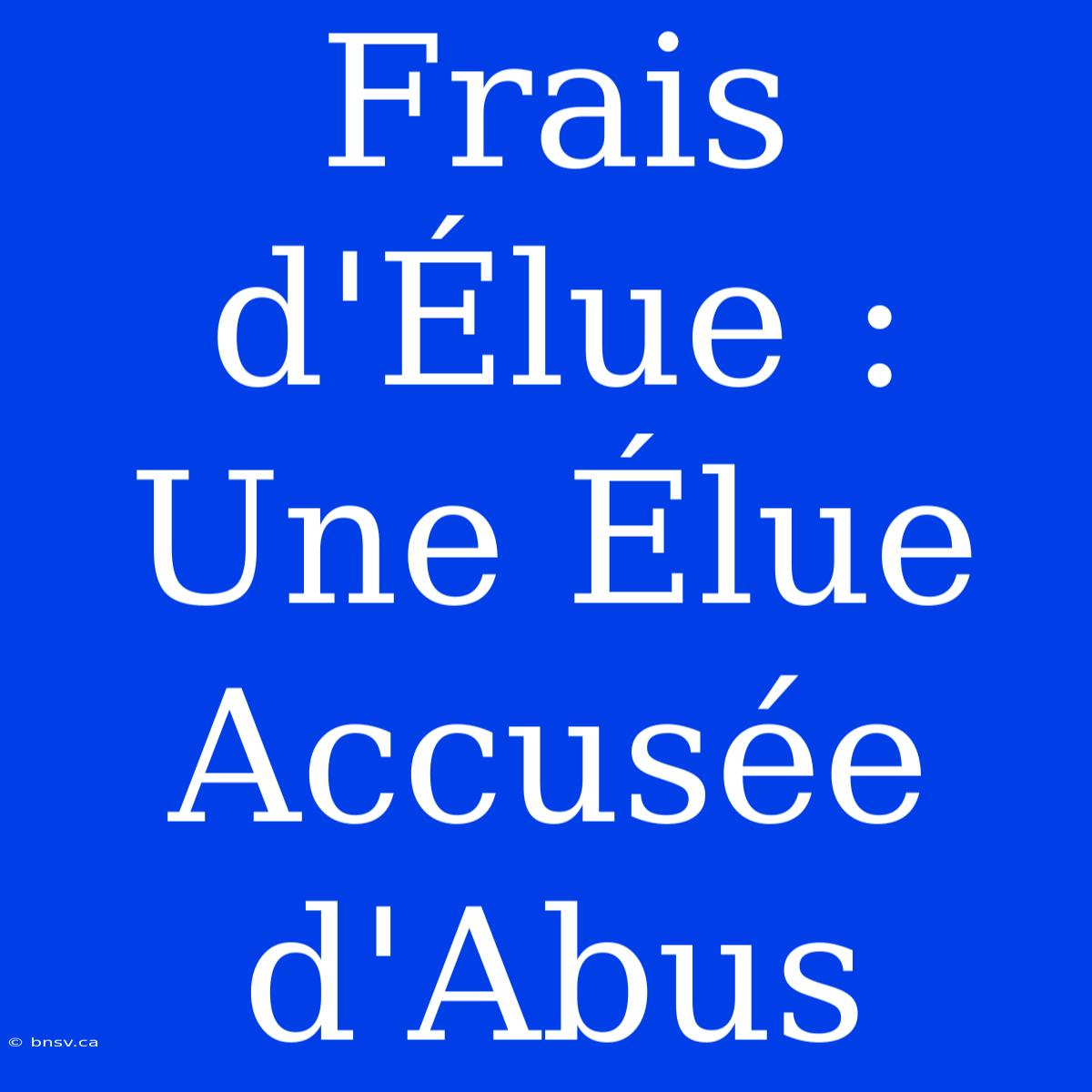 Frais D'Élue : Une Élue Accusée D'Abus