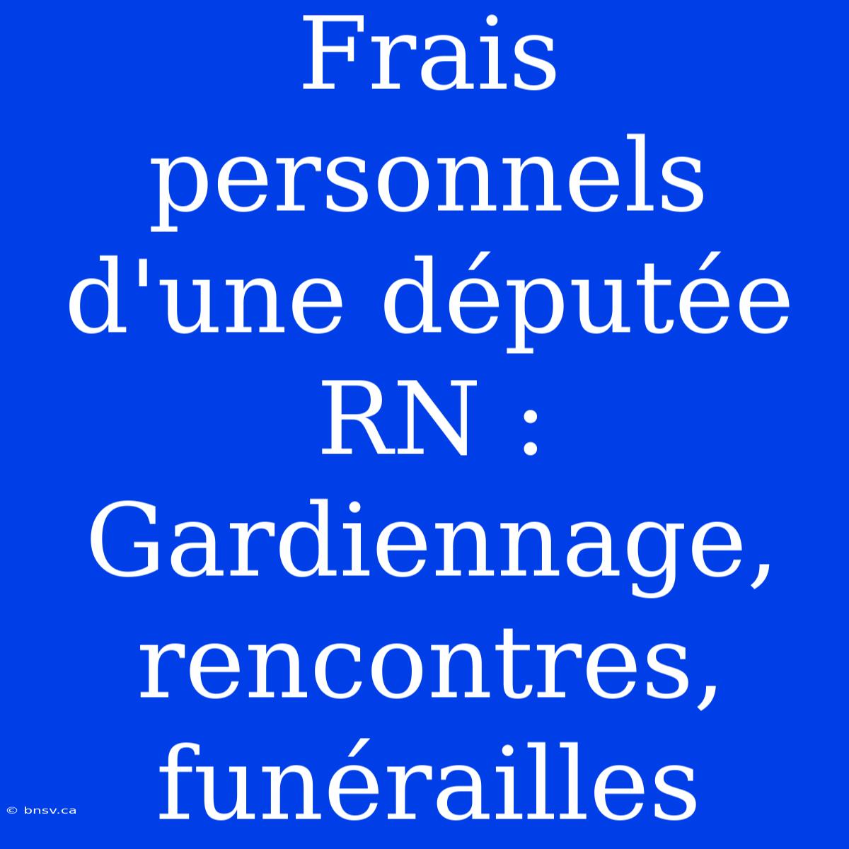 Frais Personnels D'une Députée RN : Gardiennage, Rencontres, Funérailles