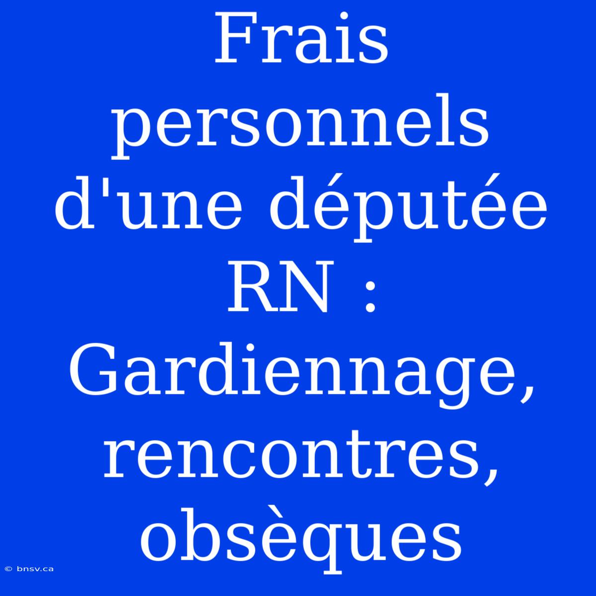 Frais Personnels D'une Députée RN : Gardiennage, Rencontres, Obsèques