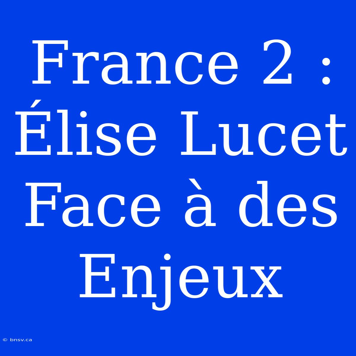 France 2 : Élise Lucet Face À Des Enjeux