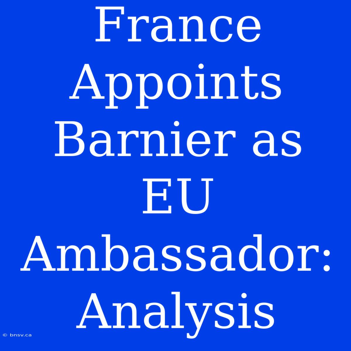 France Appoints Barnier As EU Ambassador: Analysis