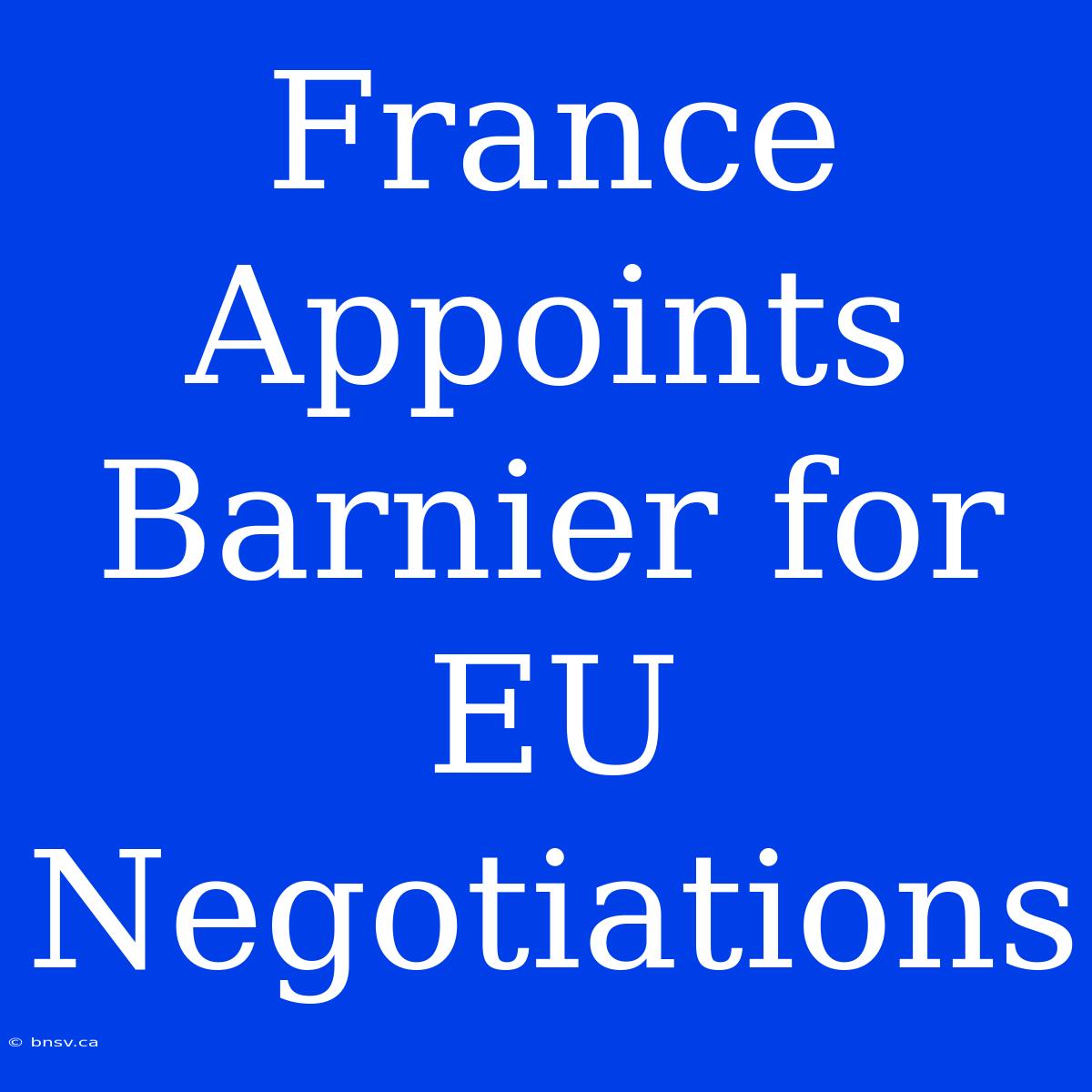 France Appoints Barnier For EU Negotiations