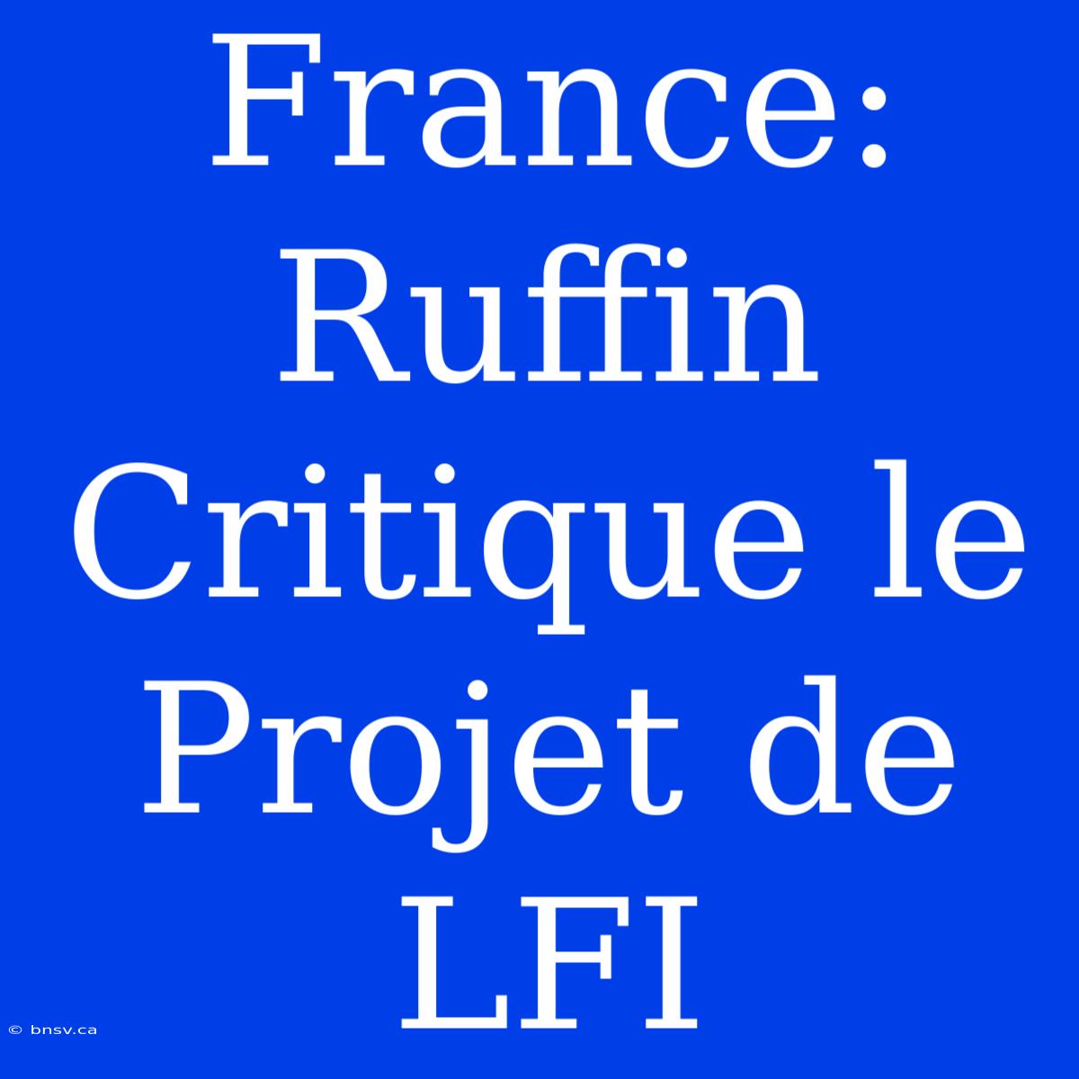 France: Ruffin Critique Le Projet De LFI