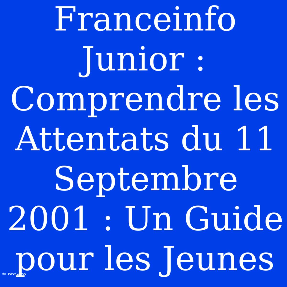 Franceinfo Junior : Comprendre Les Attentats Du 11 Septembre 2001 : Un Guide Pour Les Jeunes