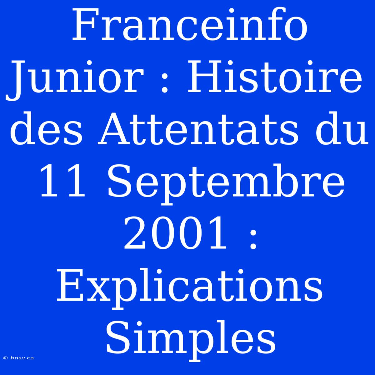 Franceinfo Junior : Histoire Des Attentats Du 11 Septembre 2001 : Explications Simples