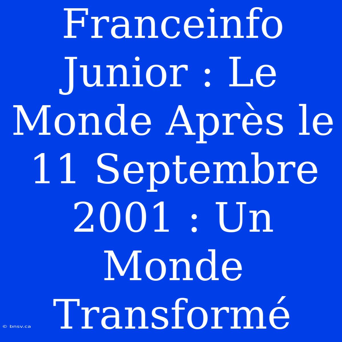 Franceinfo Junior : Le Monde Après Le 11 Septembre 2001 : Un Monde Transformé