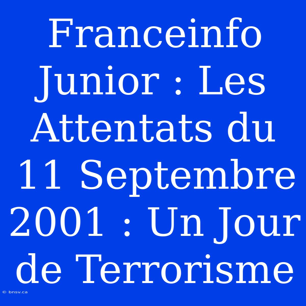 Franceinfo Junior : Les Attentats Du 11 Septembre 2001 : Un Jour De Terrorisme