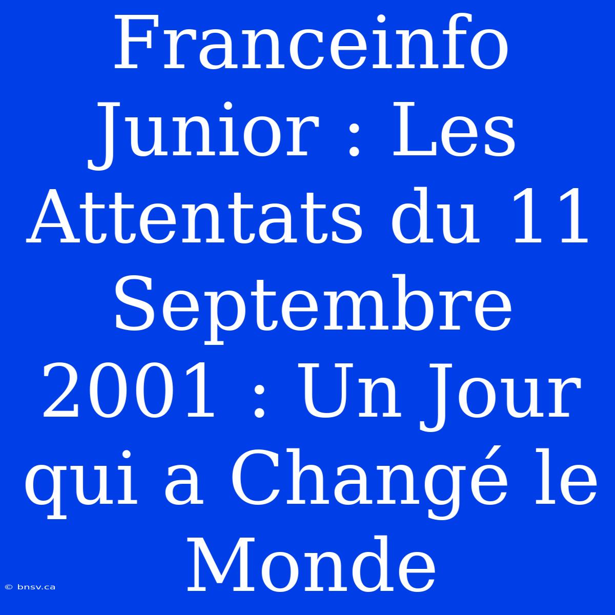 Franceinfo Junior : Les Attentats Du 11 Septembre 2001 : Un Jour Qui A Changé Le Monde