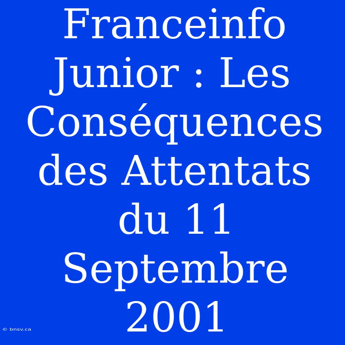 Franceinfo Junior : Les Conséquences Des Attentats Du 11 Septembre 2001