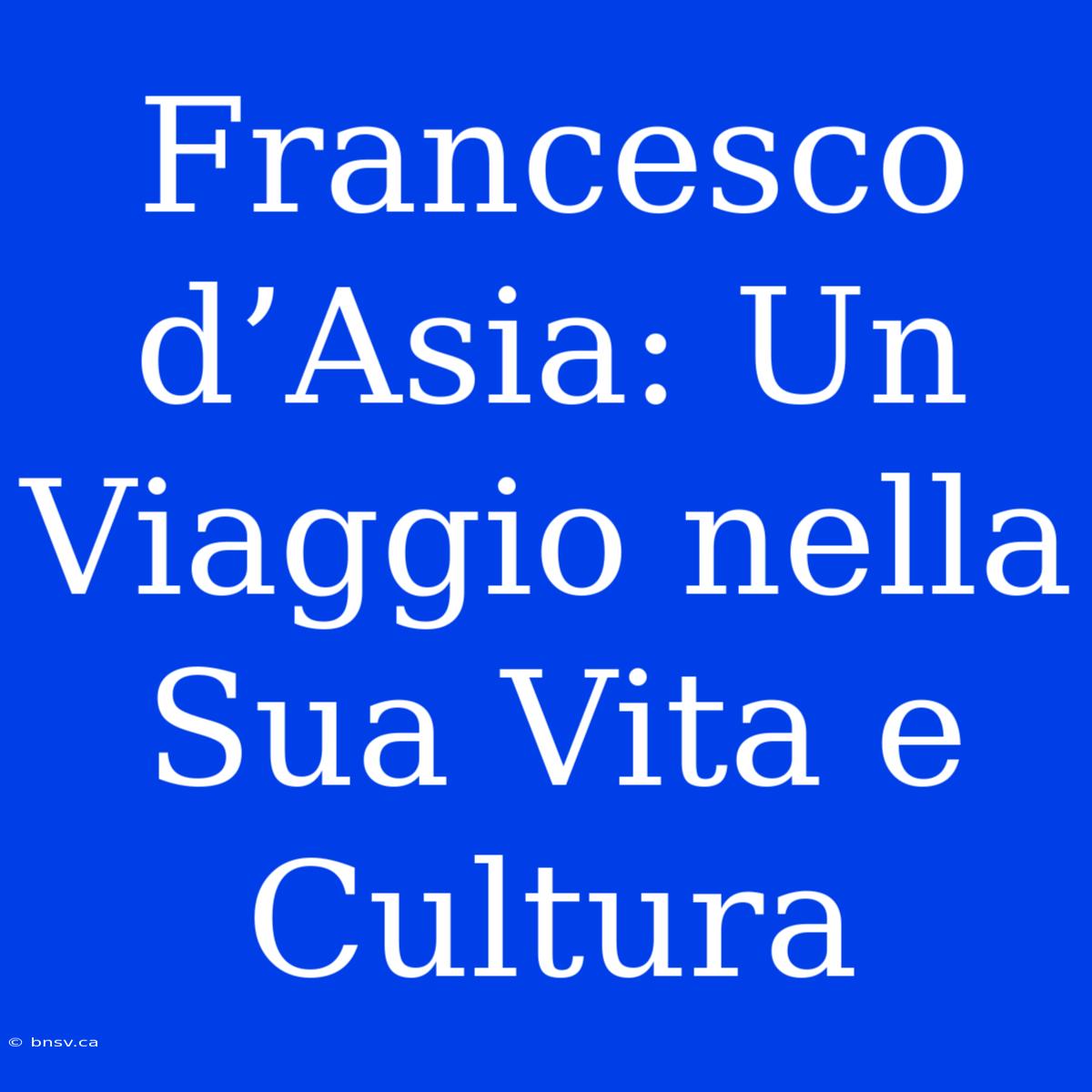 Francesco D’Asia: Un Viaggio Nella Sua Vita E Cultura