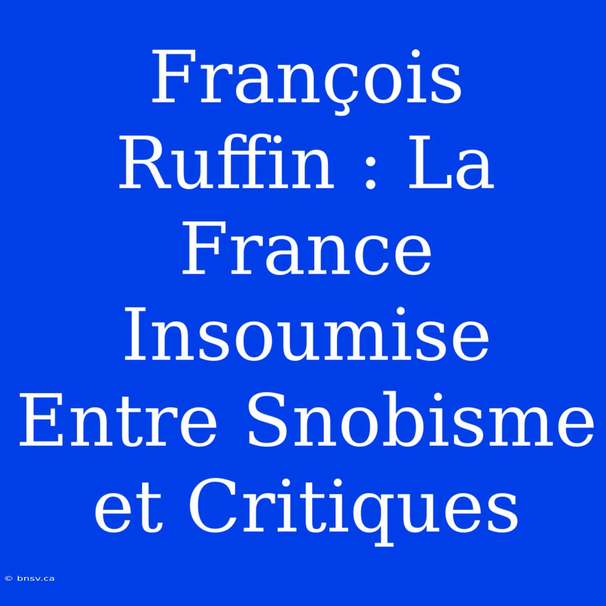 François Ruffin : La France Insoumise Entre Snobisme Et Critiques