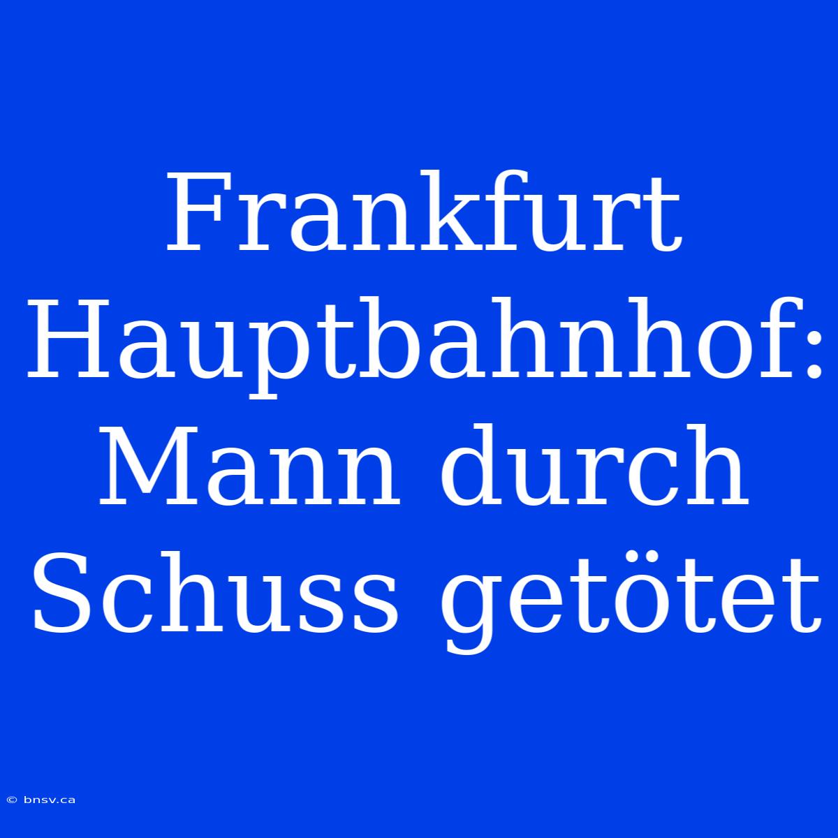 Frankfurt Hauptbahnhof: Mann Durch Schuss Getötet