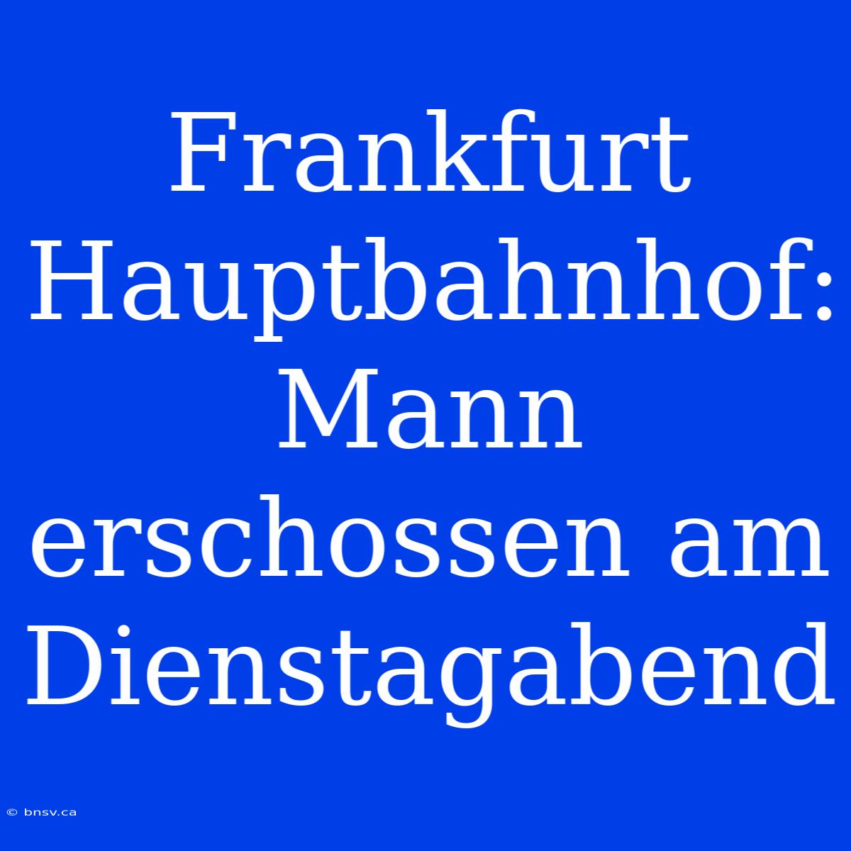 Frankfurt Hauptbahnhof: Mann Erschossen Am Dienstagabend