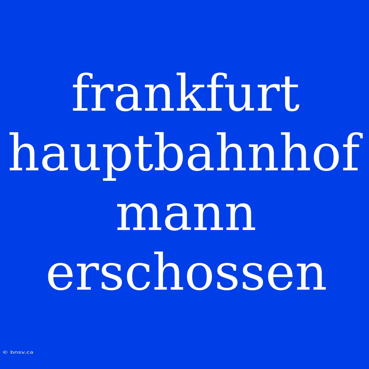 Frankfurt Hauptbahnhof Mann Erschossen