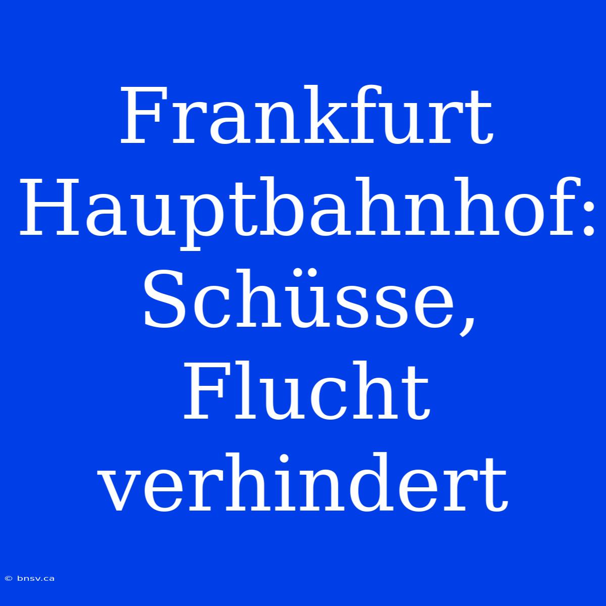 Frankfurt Hauptbahnhof: Schüsse, Flucht Verhindert