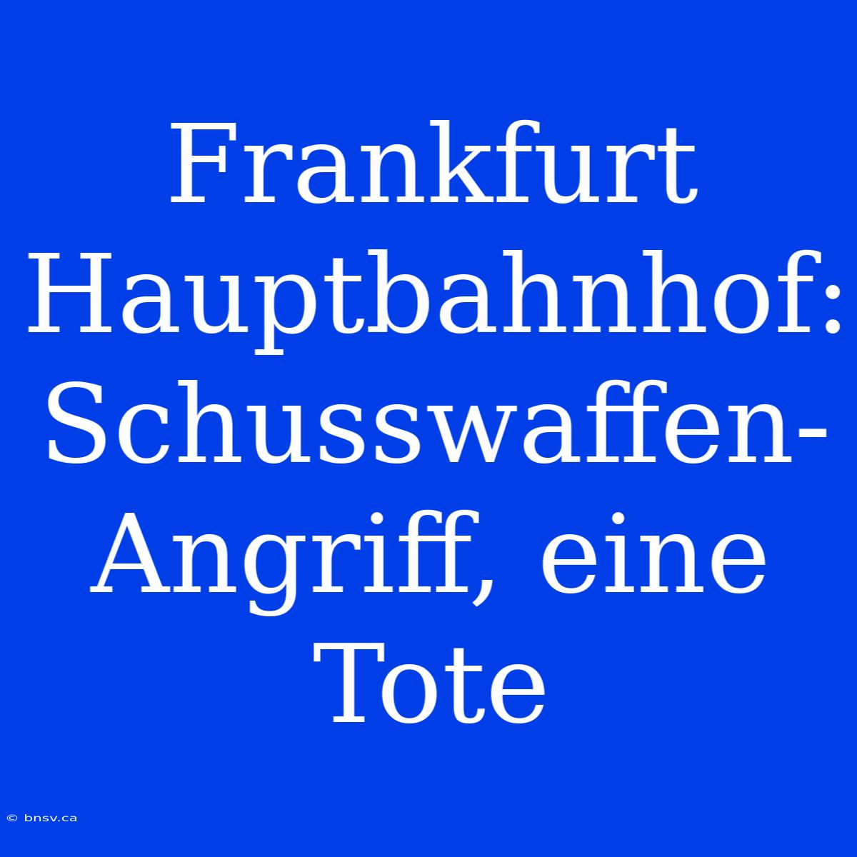 Frankfurt Hauptbahnhof: Schusswaffen-Angriff, Eine Tote