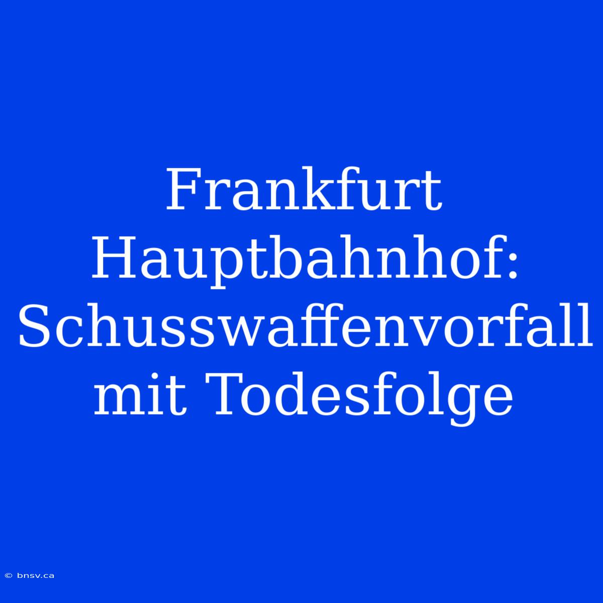 Frankfurt Hauptbahnhof: Schusswaffenvorfall Mit Todesfolge