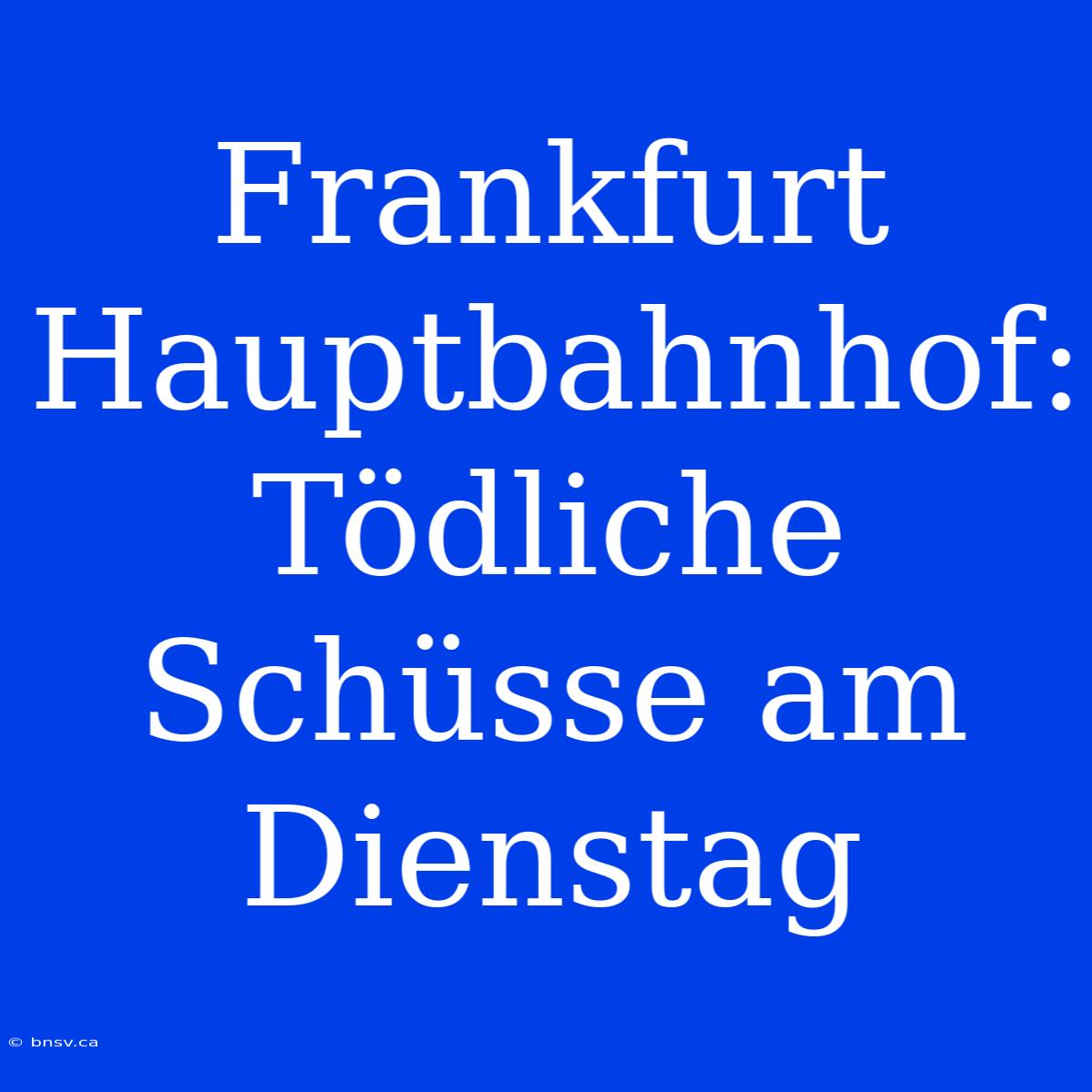 Frankfurt Hauptbahnhof: Tödliche Schüsse Am Dienstag