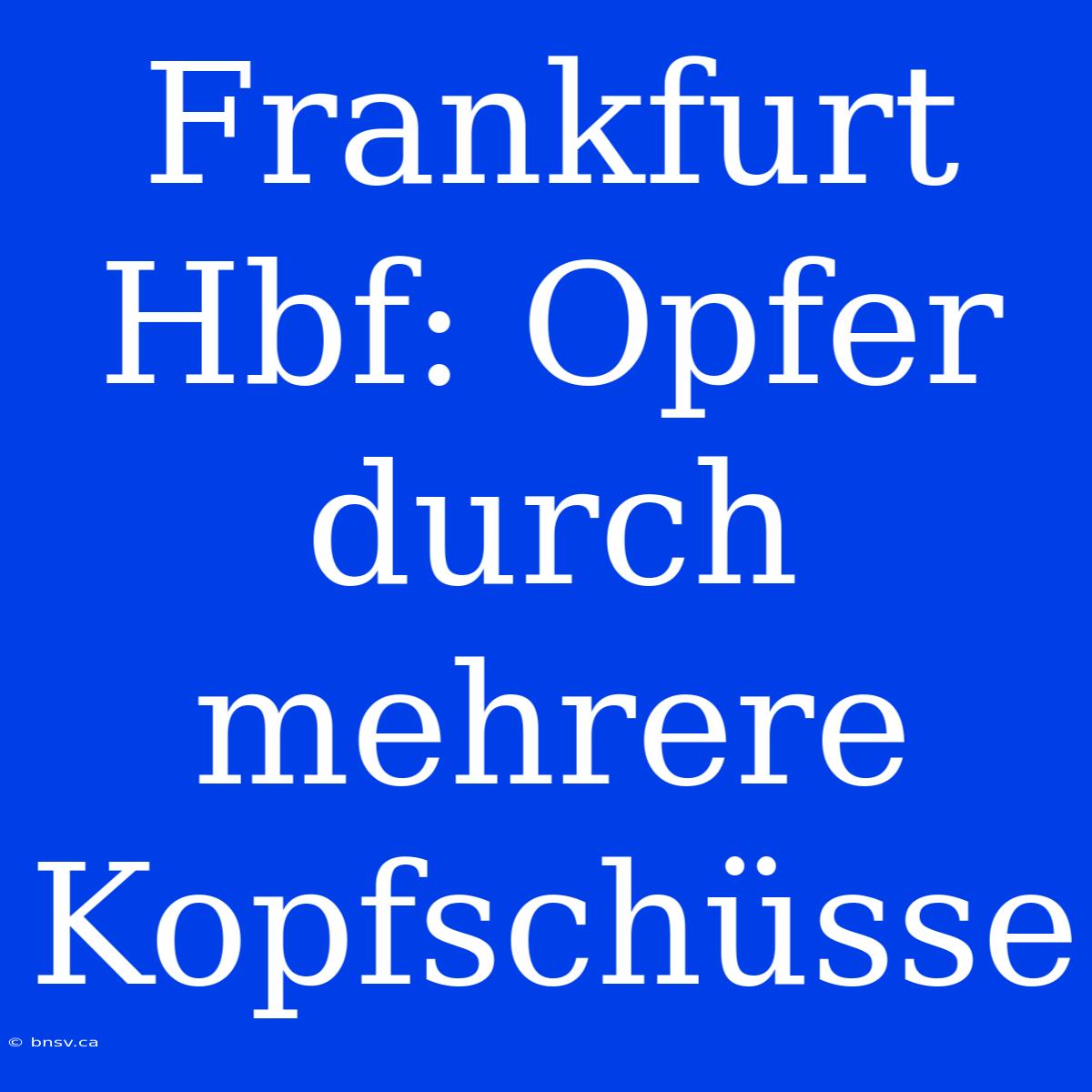 Frankfurt Hbf: Opfer Durch Mehrere Kopfschüsse