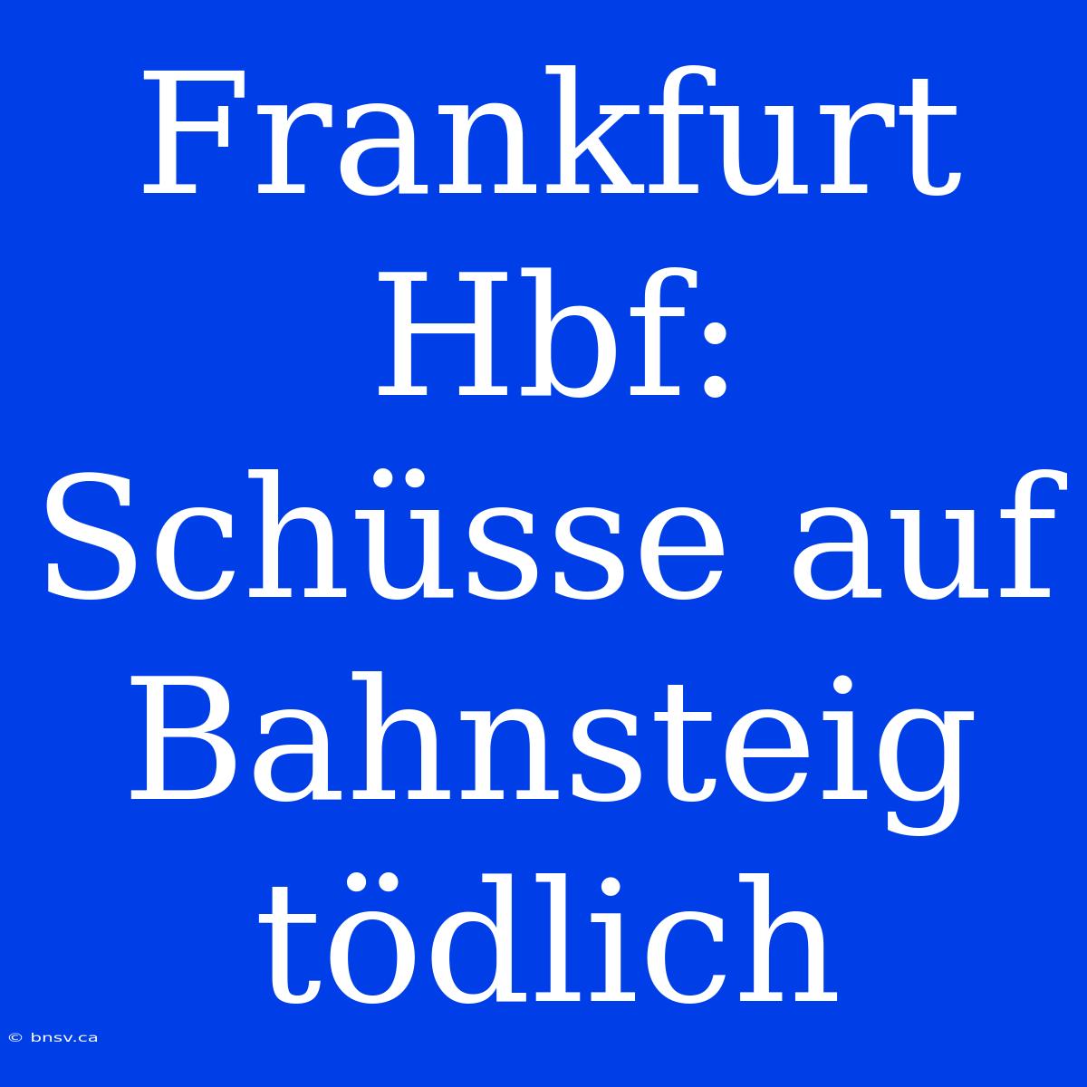 Frankfurt Hbf: Schüsse Auf Bahnsteig Tödlich