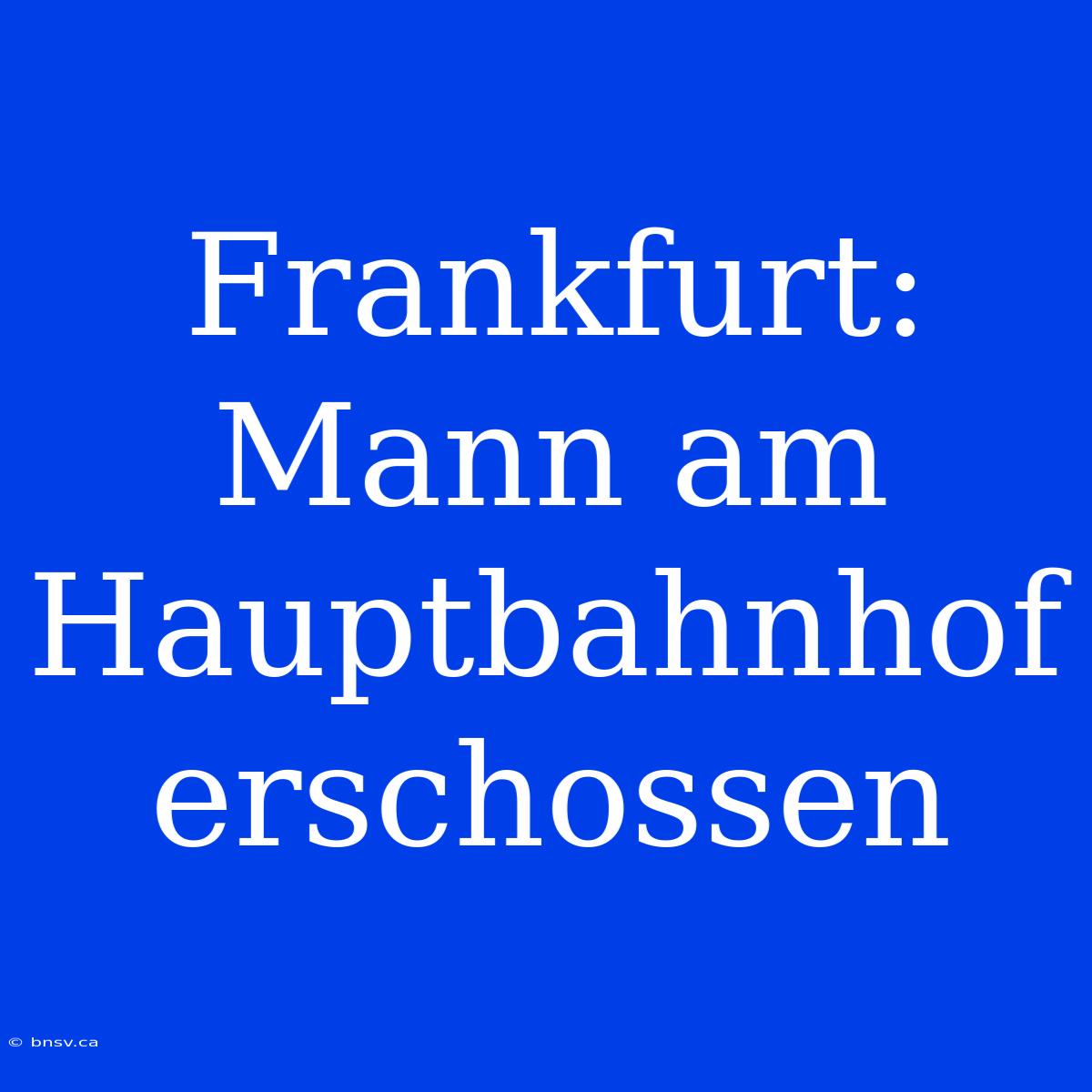 Frankfurt: Mann Am Hauptbahnhof Erschossen