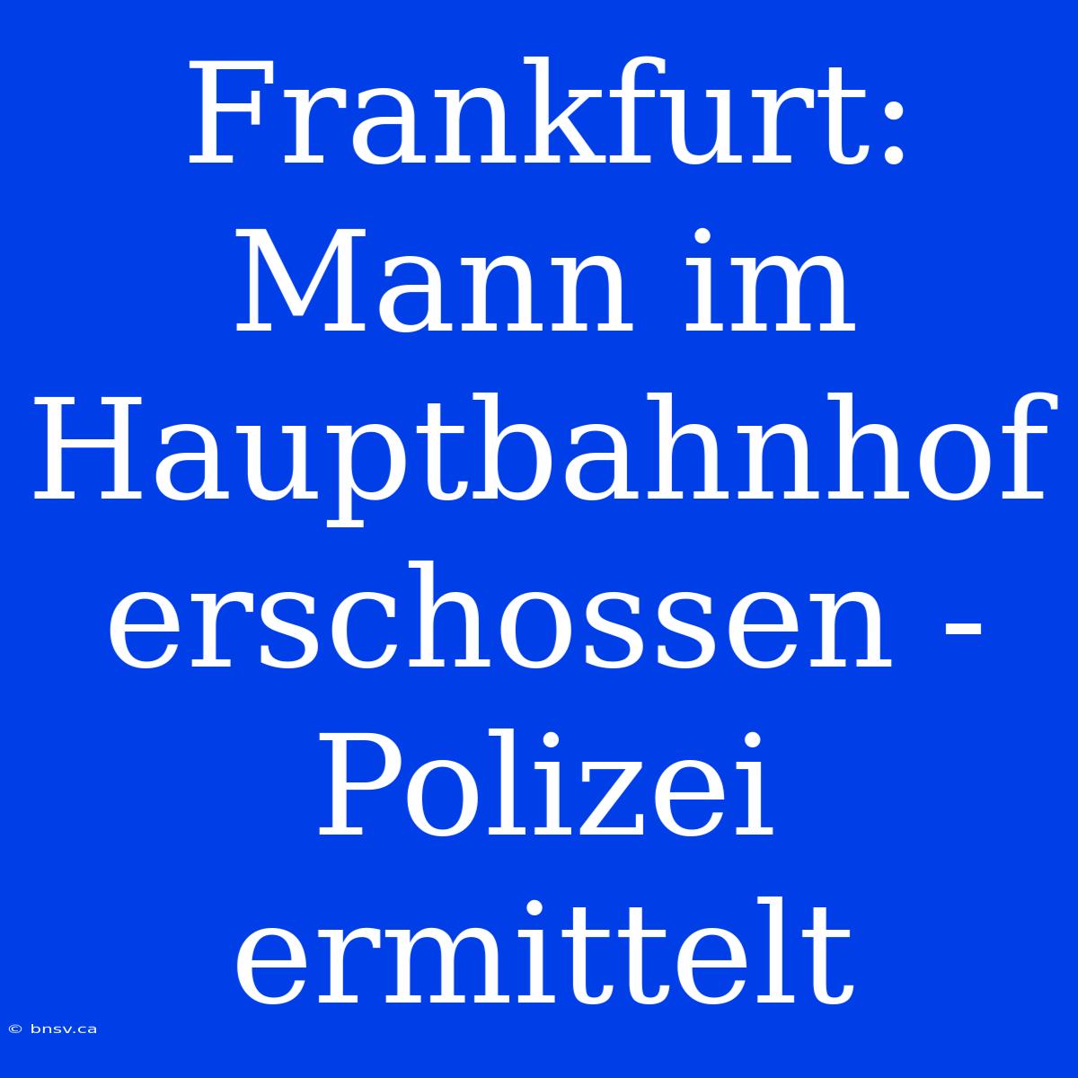 Frankfurt: Mann Im Hauptbahnhof Erschossen - Polizei Ermittelt