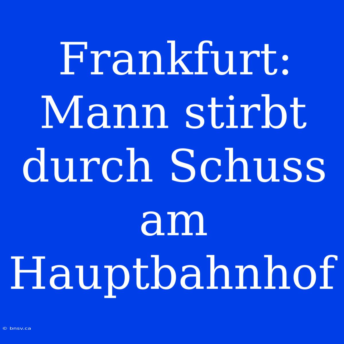 Frankfurt: Mann Stirbt Durch Schuss Am Hauptbahnhof