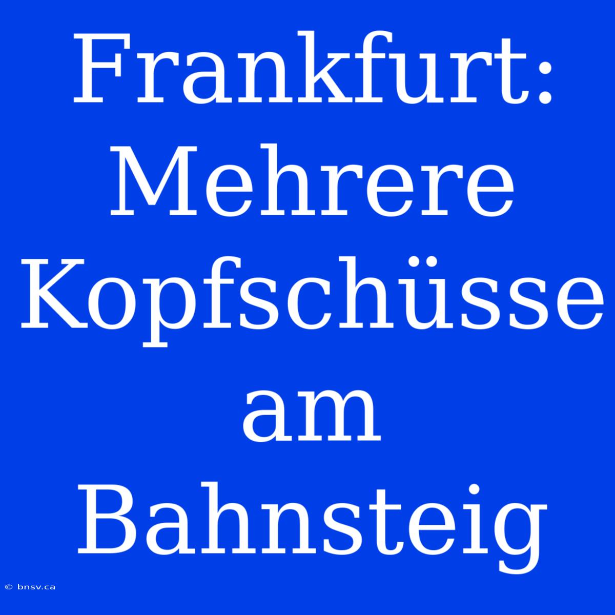 Frankfurt: Mehrere Kopfschüsse Am Bahnsteig