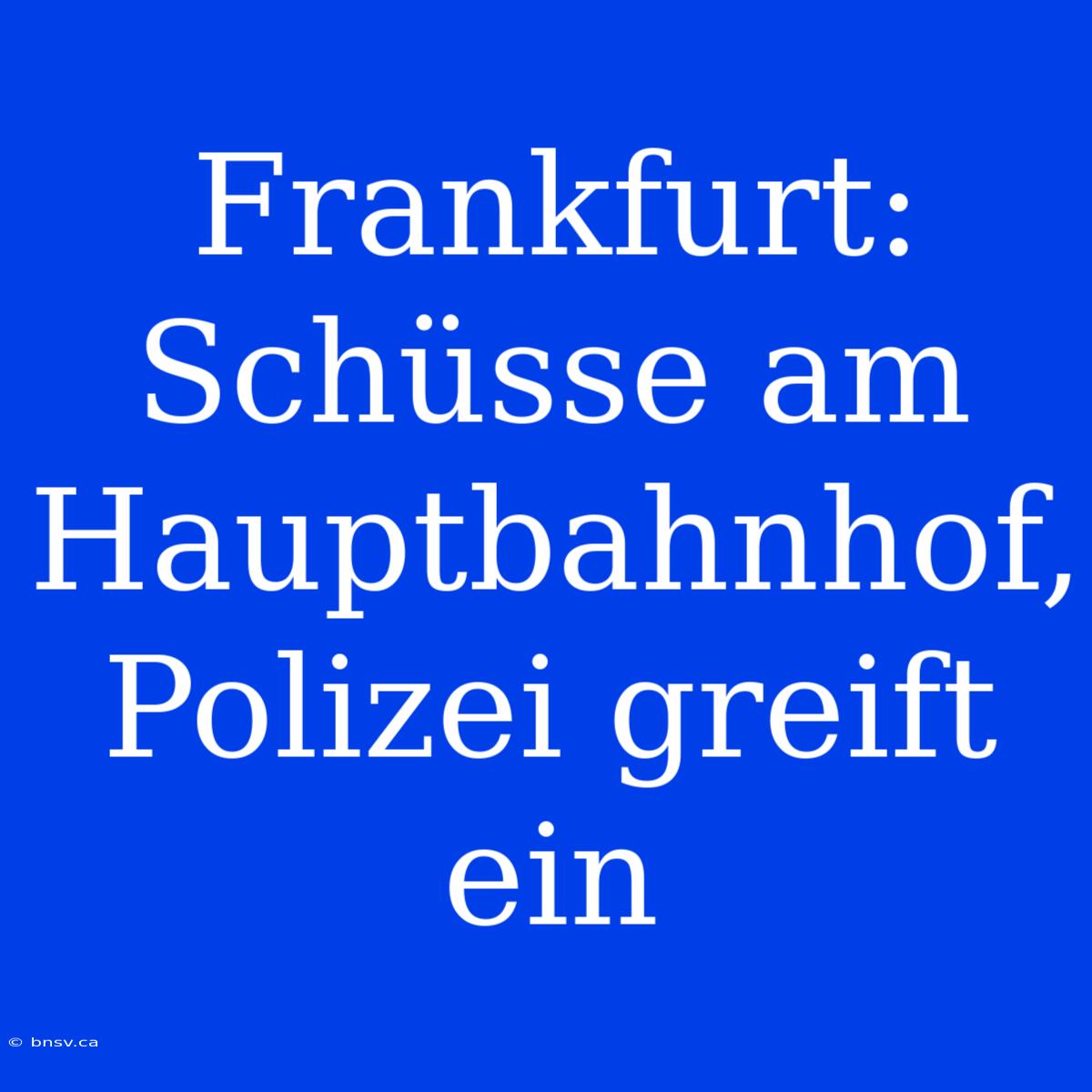 Frankfurt: Schüsse Am Hauptbahnhof, Polizei Greift Ein