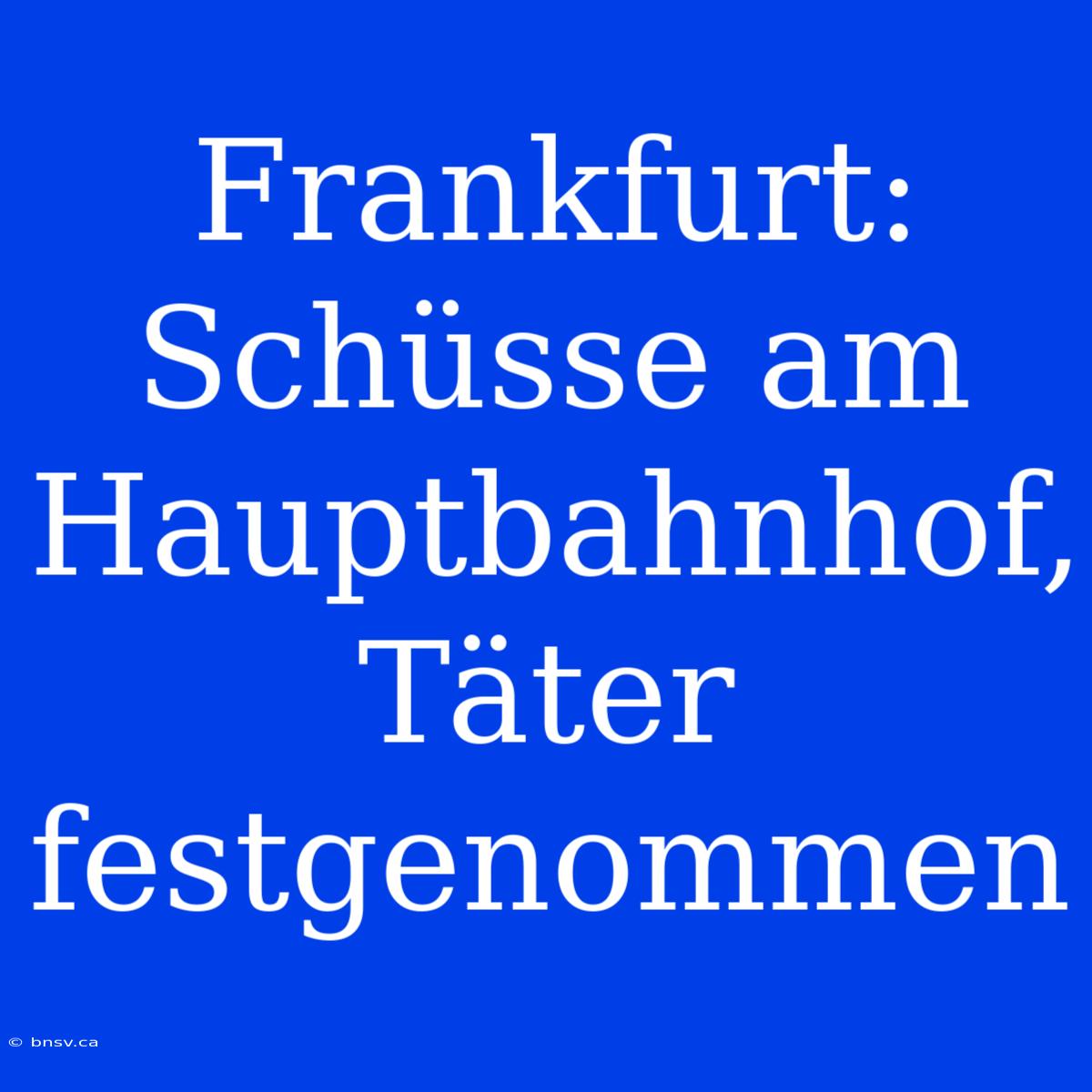 Frankfurt: Schüsse Am Hauptbahnhof, Täter Festgenommen