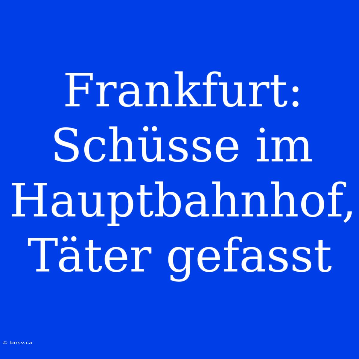 Frankfurt: Schüsse Im Hauptbahnhof, Täter Gefasst