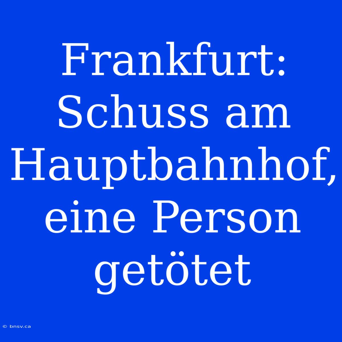 Frankfurt: Schuss Am Hauptbahnhof, Eine Person Getötet