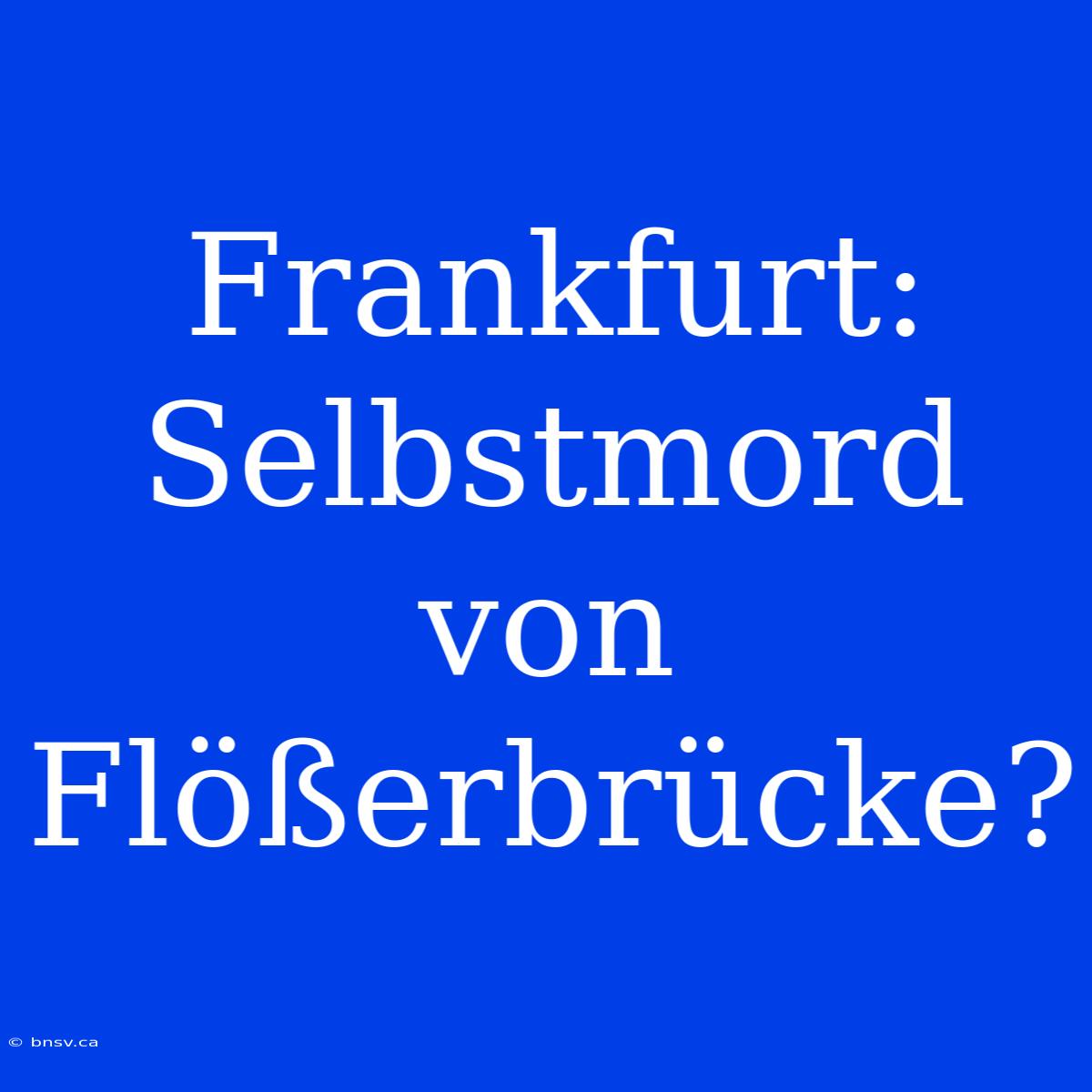 Frankfurt: Selbstmord Von Flößerbrücke?