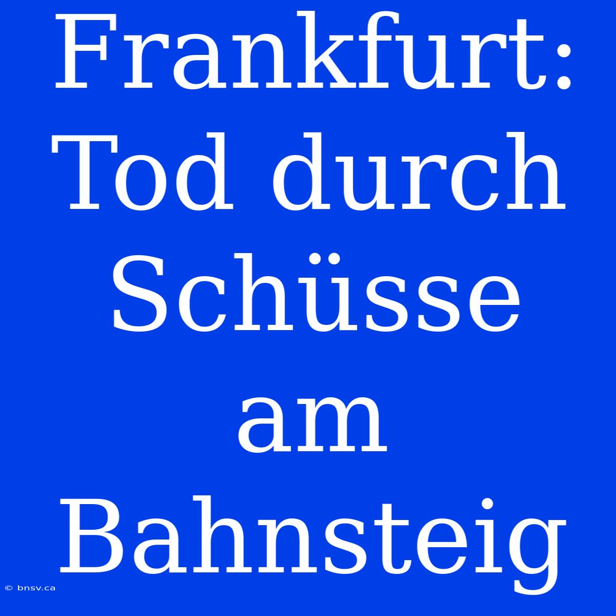 Frankfurt: Tod Durch Schüsse Am Bahnsteig