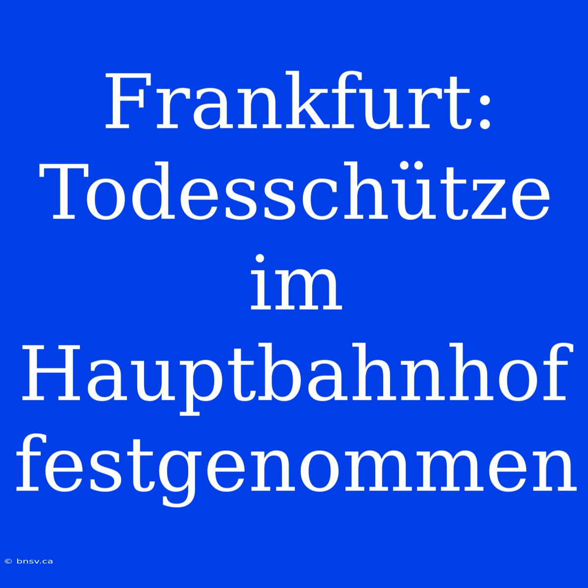 Frankfurt: Todesschütze Im Hauptbahnhof Festgenommen