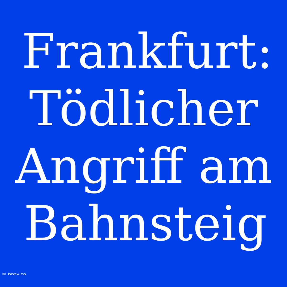 Frankfurt: Tödlicher Angriff Am Bahnsteig