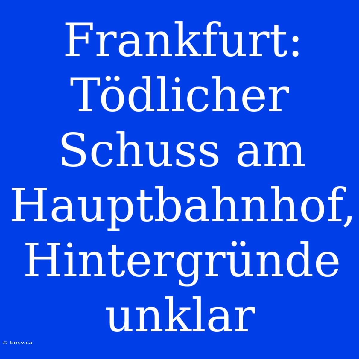 Frankfurt: Tödlicher Schuss Am Hauptbahnhof, Hintergründe Unklar