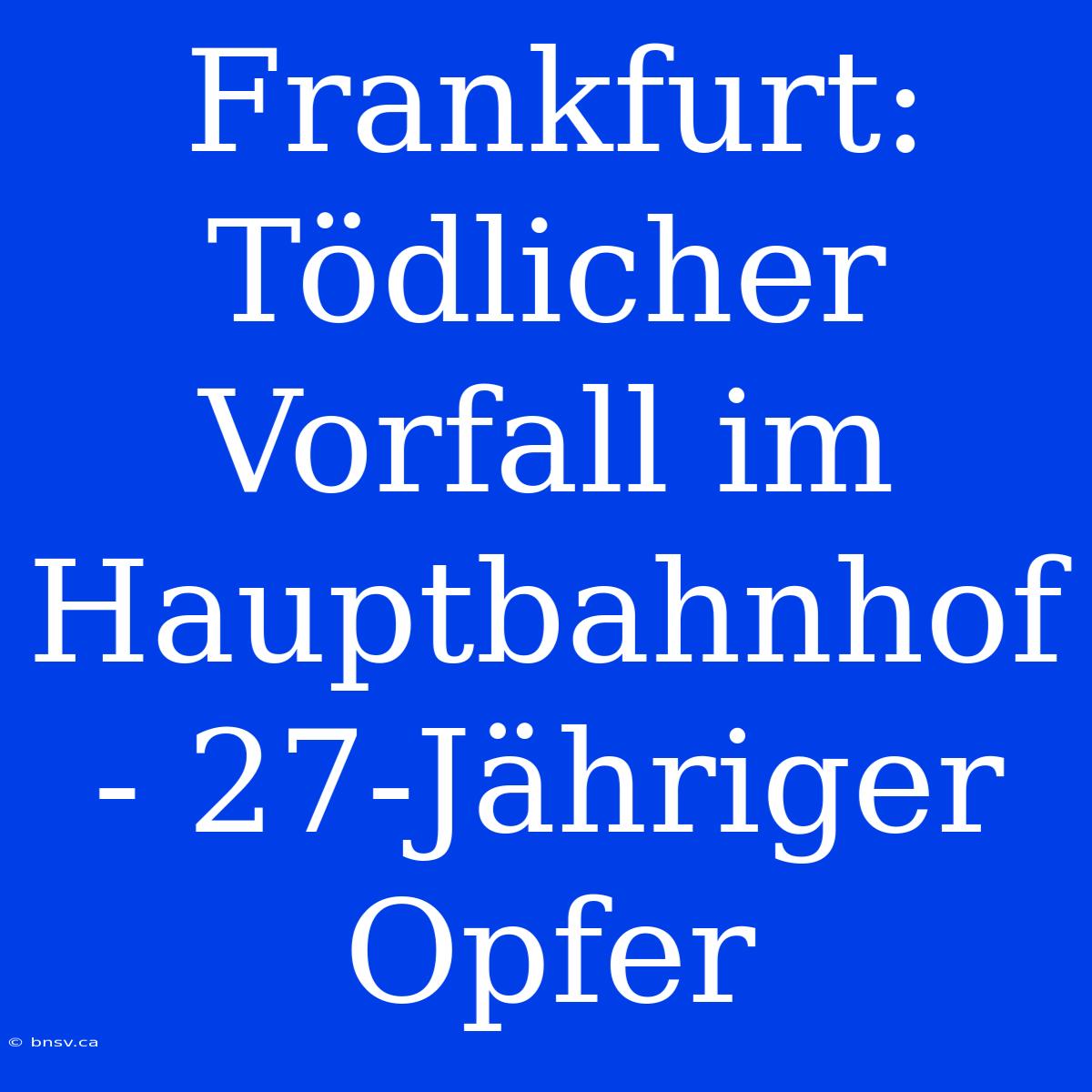 Frankfurt: Tödlicher Vorfall Im Hauptbahnhof - 27-Jähriger Opfer