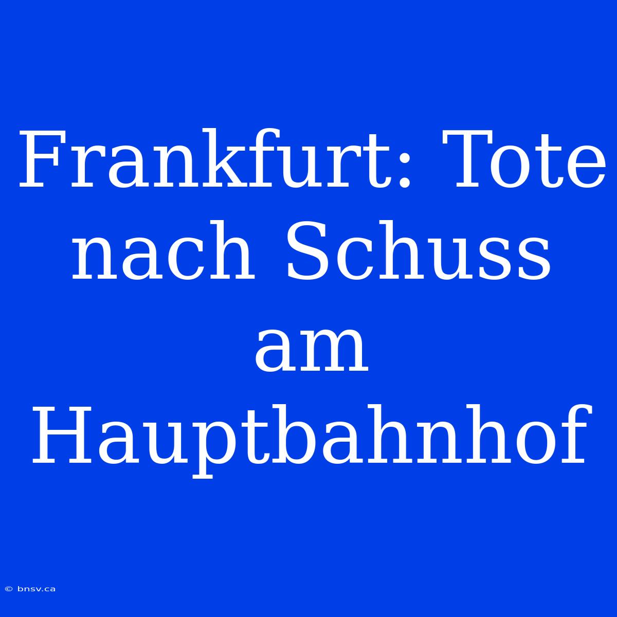 Frankfurt: Tote Nach Schuss Am Hauptbahnhof