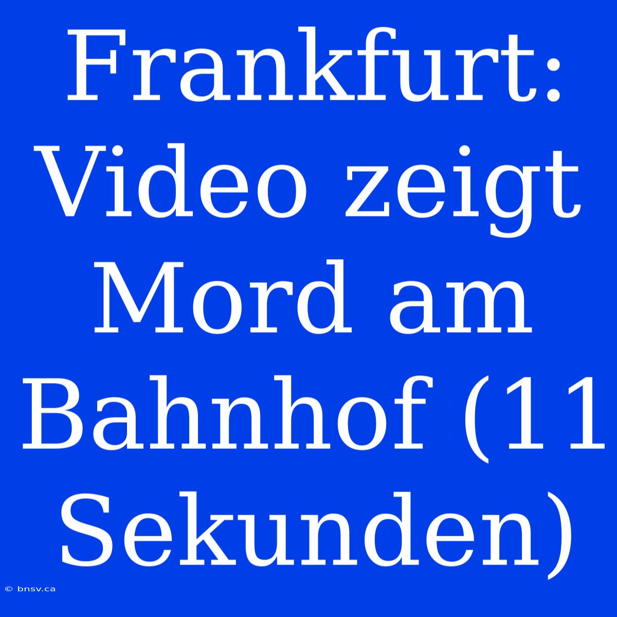 Frankfurt: Video Zeigt Mord Am Bahnhof (11 Sekunden)