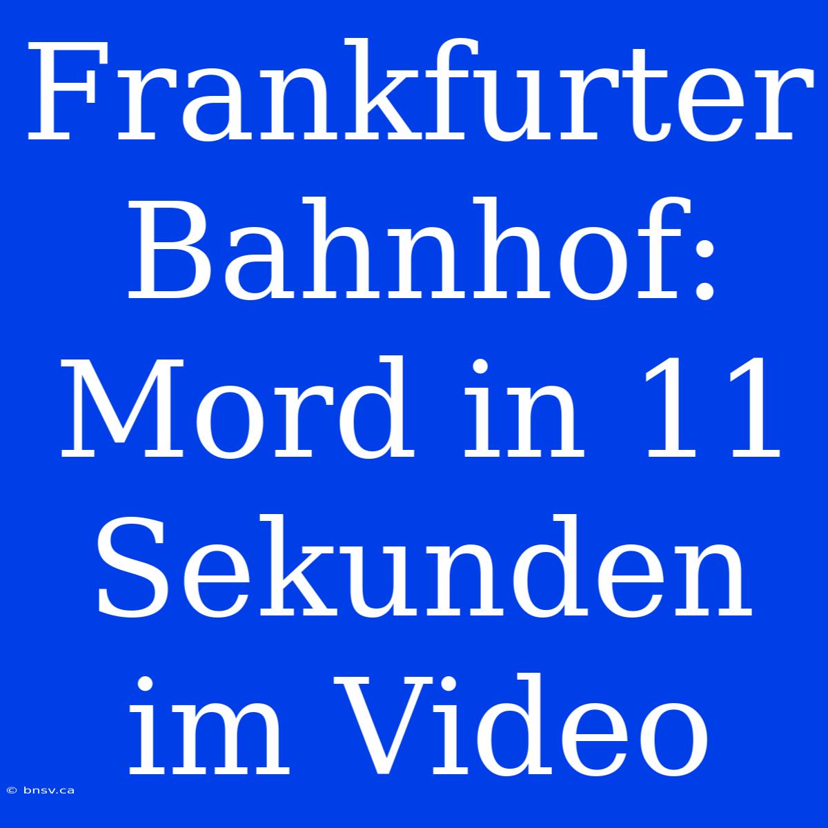 Frankfurter Bahnhof: Mord In 11 Sekunden Im Video