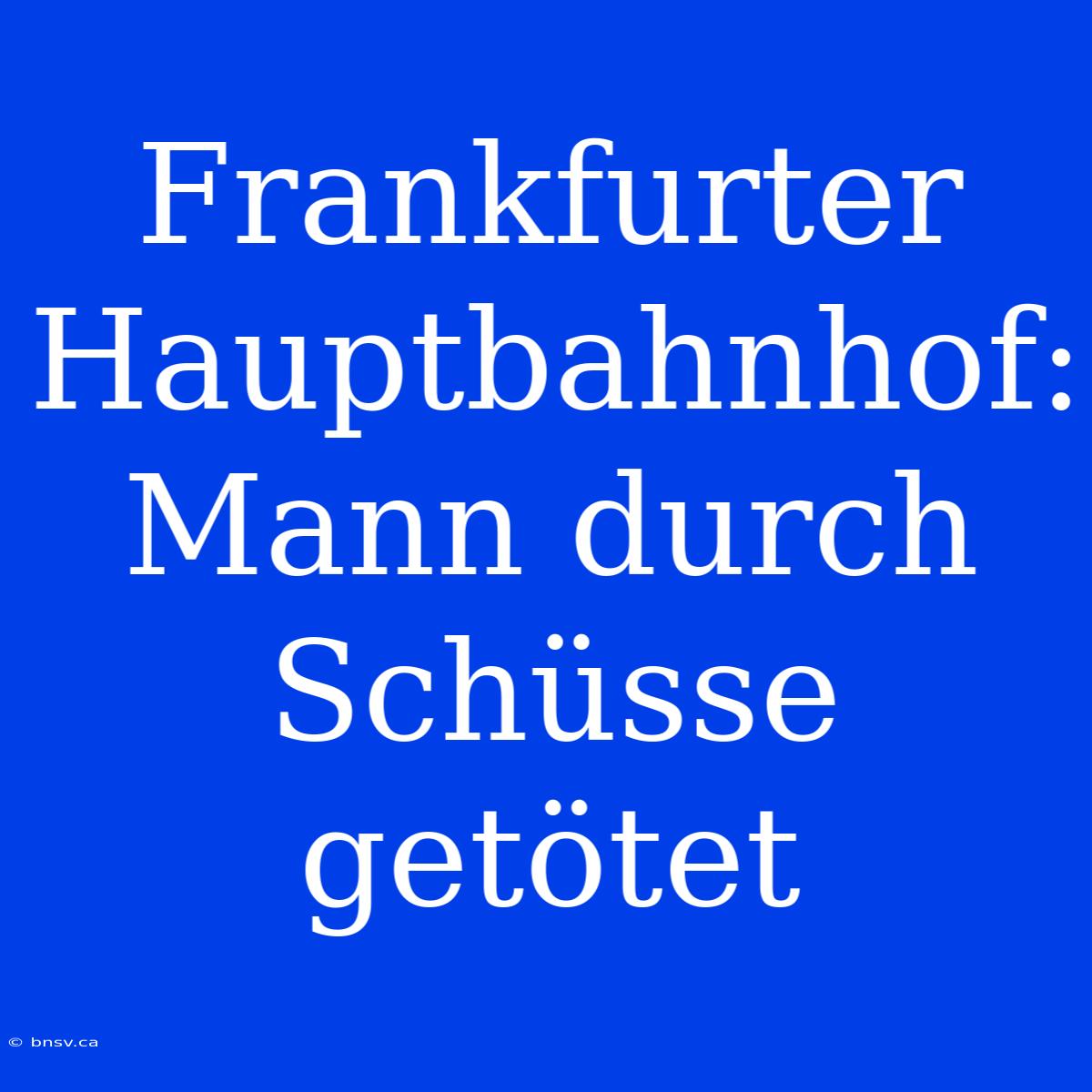 Frankfurter Hauptbahnhof: Mann Durch Schüsse Getötet