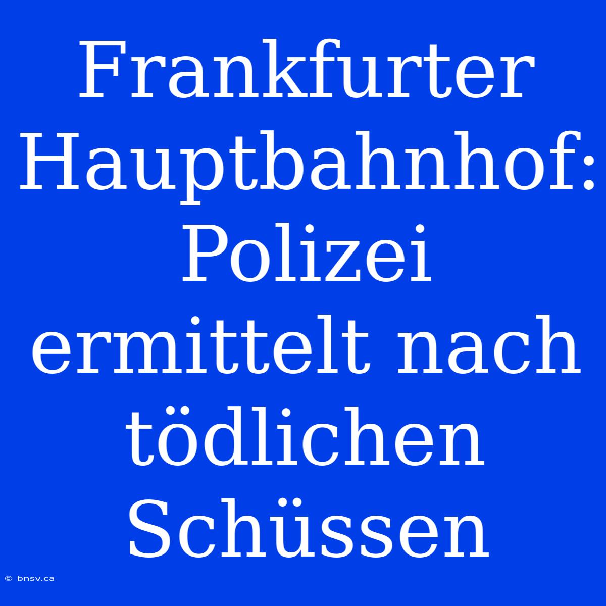 Frankfurter Hauptbahnhof:  Polizei Ermittelt Nach Tödlichen Schüssen