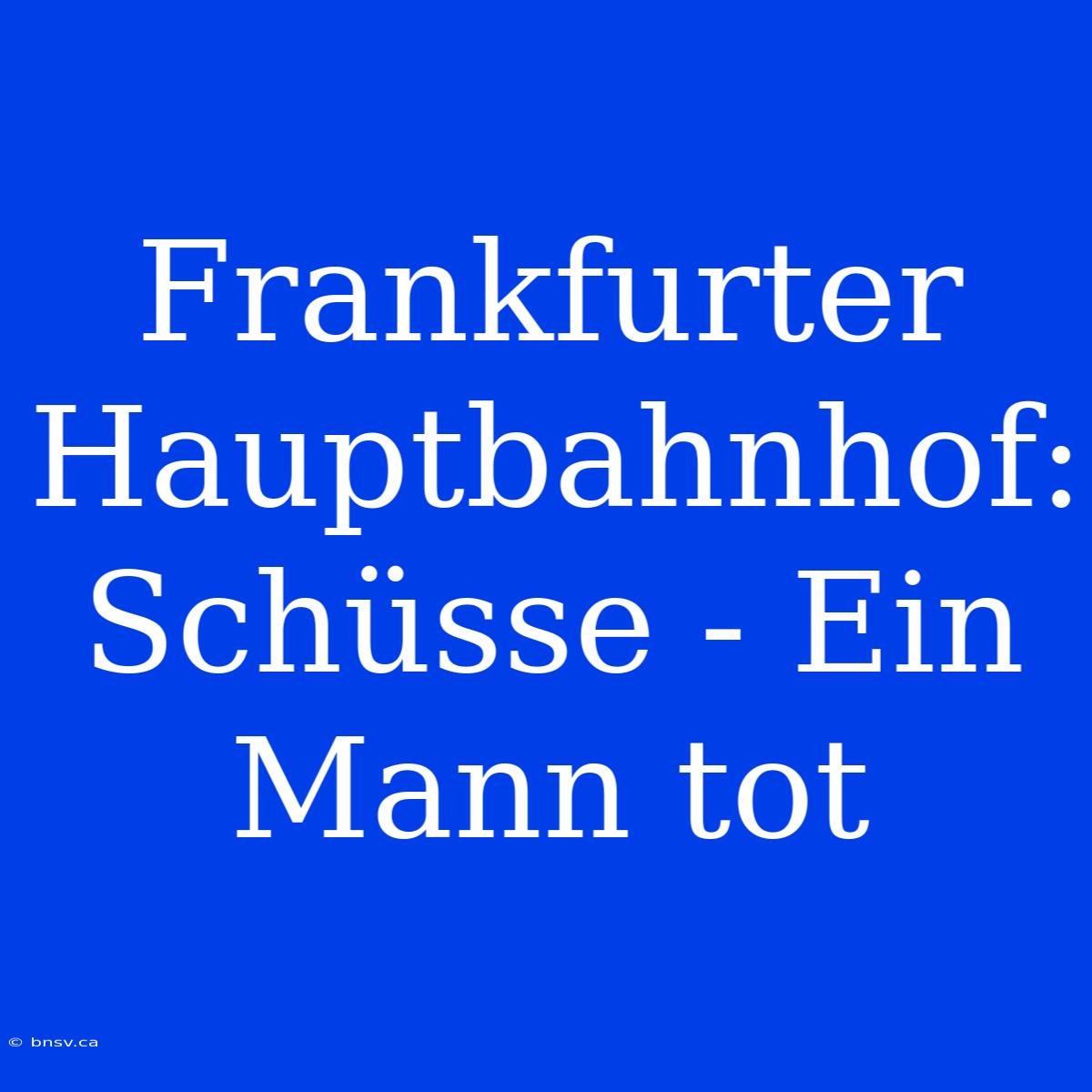 Frankfurter Hauptbahnhof: Schüsse - Ein Mann Tot