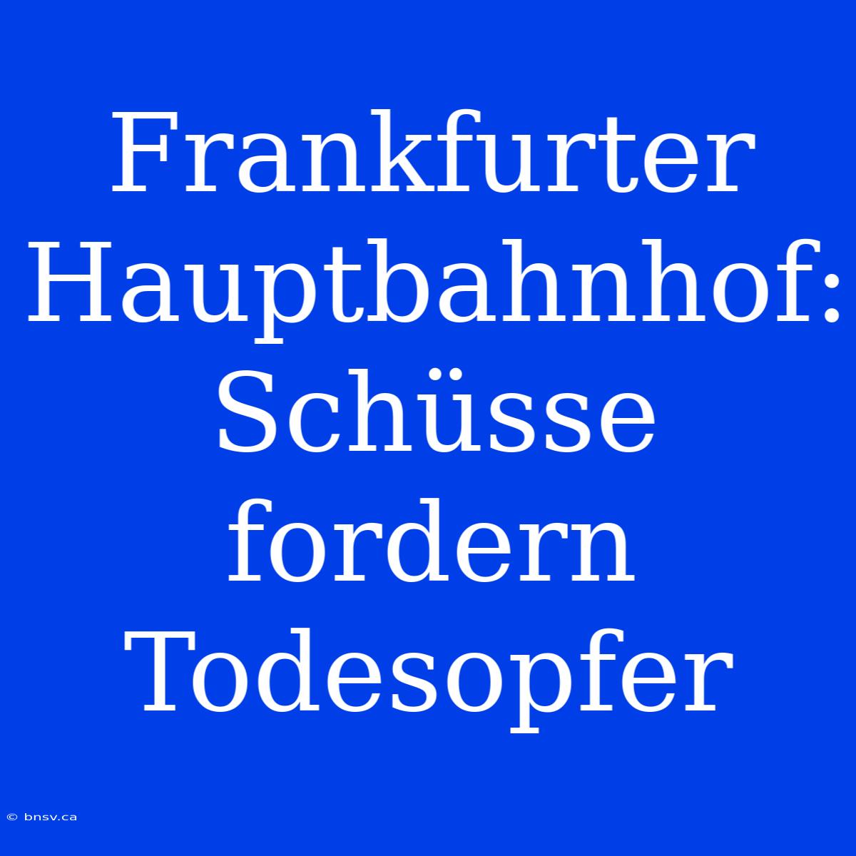 Frankfurter Hauptbahnhof: Schüsse Fordern Todesopfer