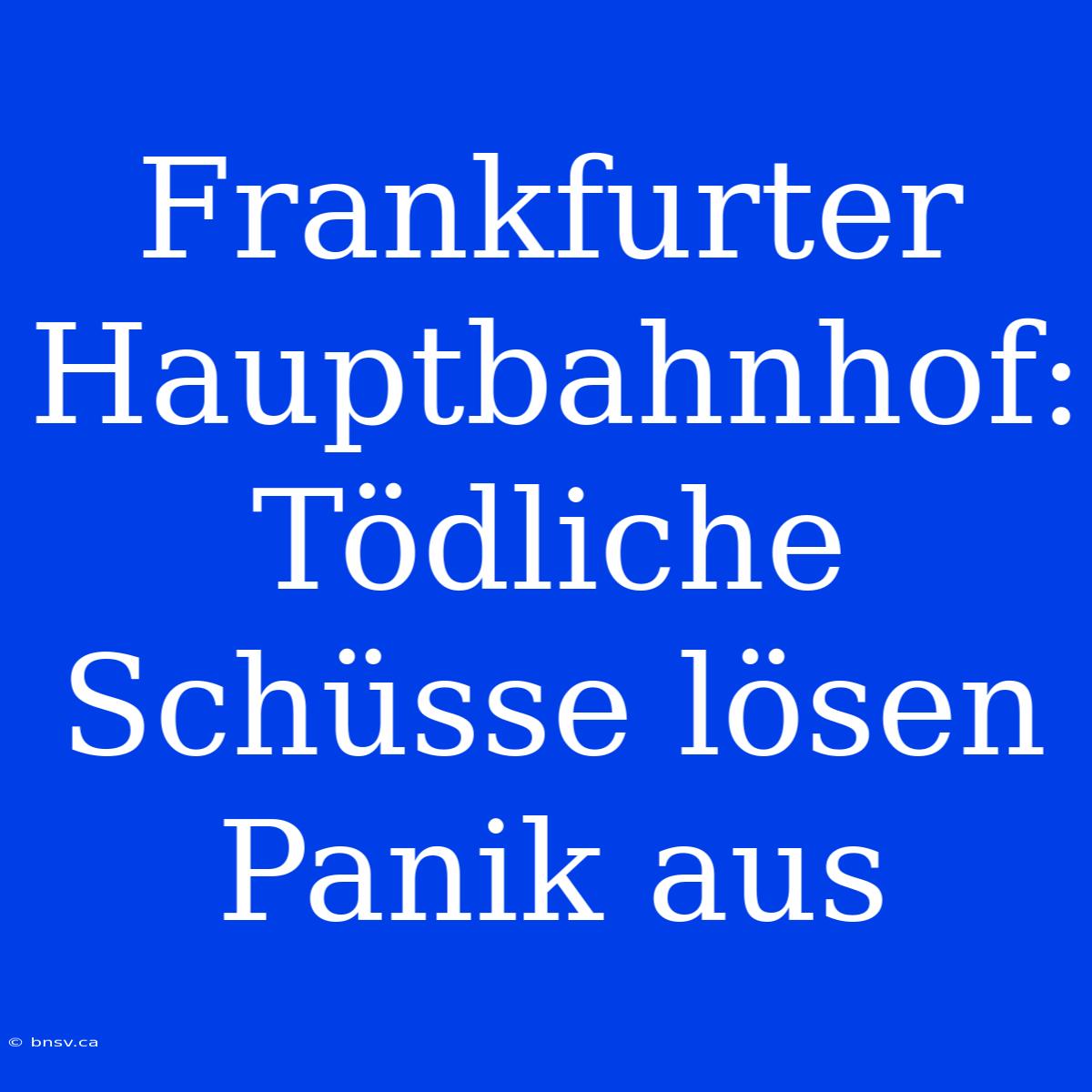 Frankfurter Hauptbahnhof: Tödliche Schüsse Lösen Panik Aus