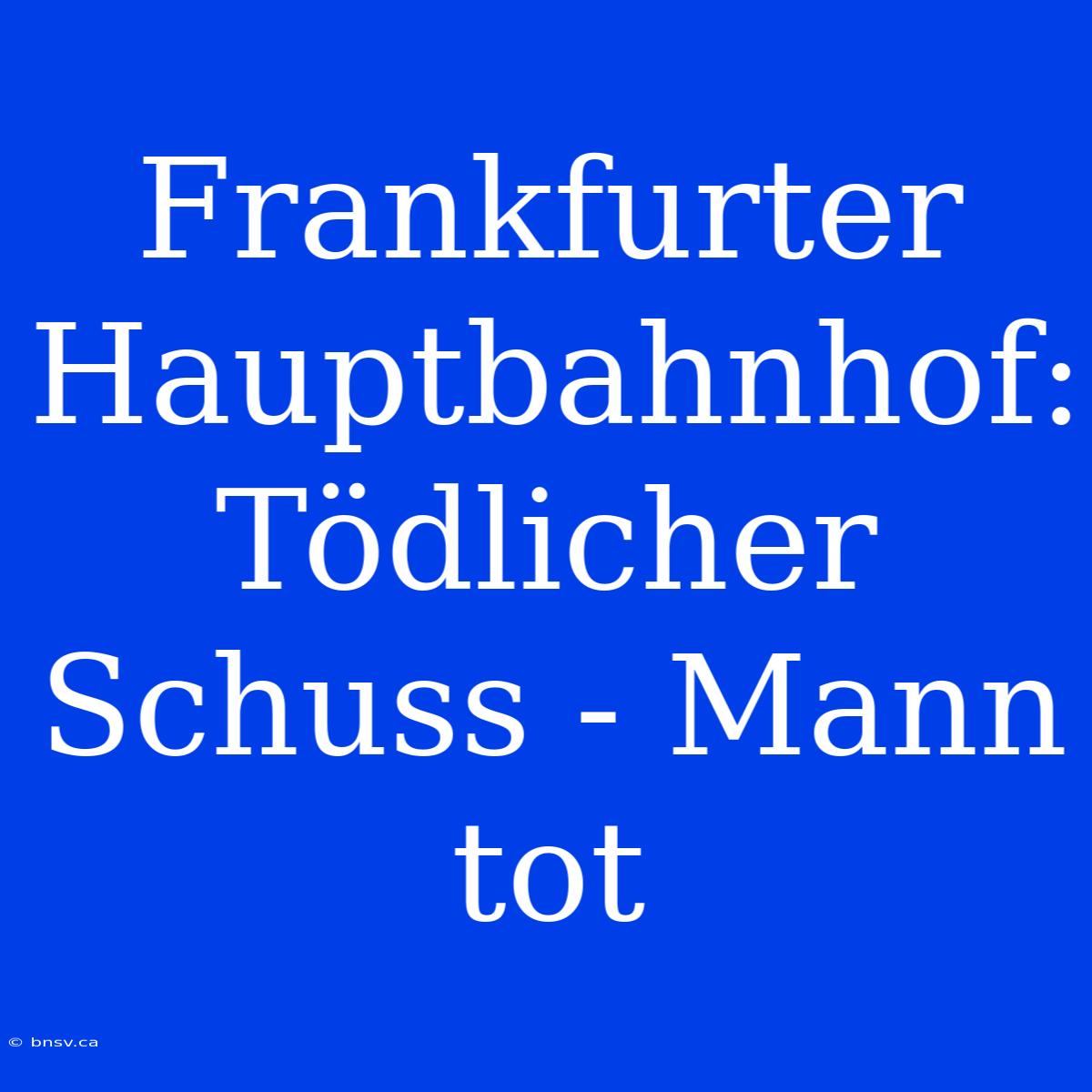 Frankfurter Hauptbahnhof: Tödlicher Schuss - Mann Tot