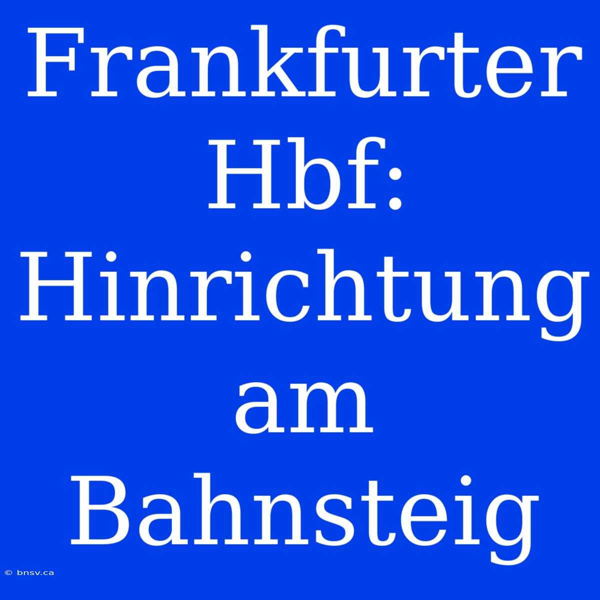 Frankfurter Hbf: Hinrichtung Am Bahnsteig