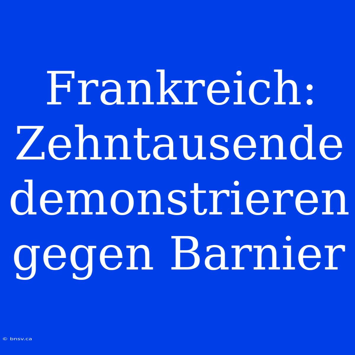 Frankreich: Zehntausende Demonstrieren Gegen Barnier