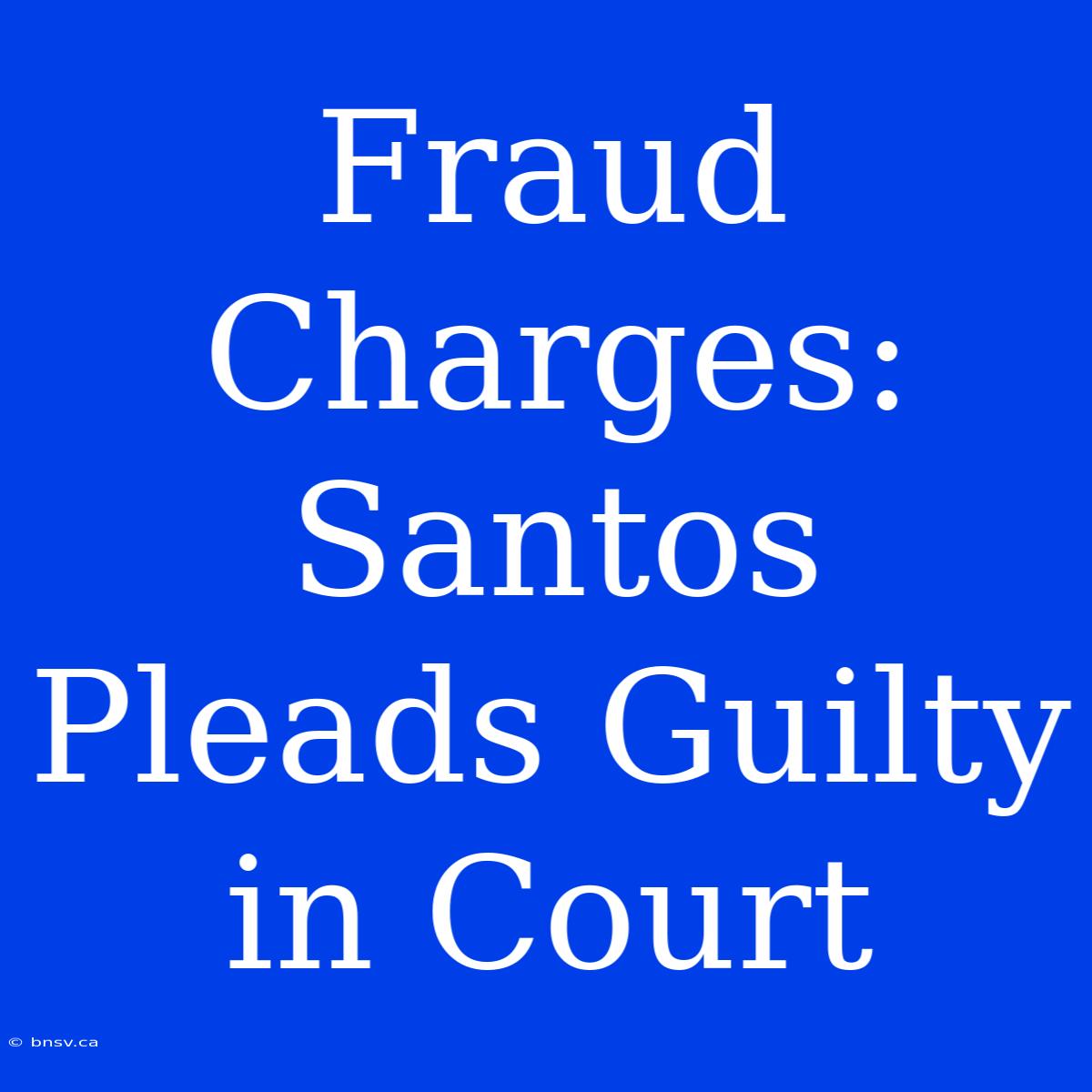 Fraud Charges: Santos Pleads Guilty In Court